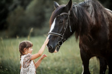  Little Girl With Shire Horse