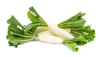 Wall Mural - fresh white radish isolated on white background