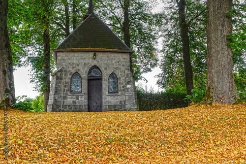 Fotografie, Obraz Ground covered by early fall of leaves and fruits of linden trees or lime trees standing at a small chapel during a heat and drought period in western Europe in the summer