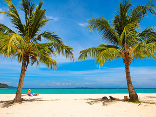 Poster - Coconut tree on white sand beach with turquoise water sea and clear blue sky in sunny summer day at Koh Lipe island in Thailand for holiday or vacation concept.