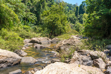 Wall Mural - Headwater of the river Sok in the national park Khao Sok in the south of Thailand