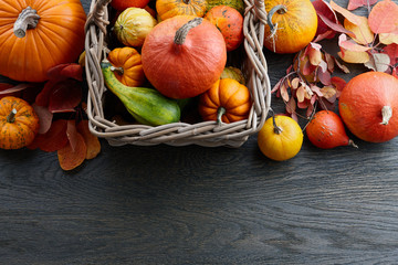 Wall Mural - Wicker basket with colorful pumpkins and gourds for Halloween and Thanksgiving, holiday decoration