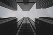 © Tobi Shonibare - NYC Look Up Landscape I
