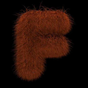 3D Rendering Creative Illustration Ginger Orangutan Furry Letter F
