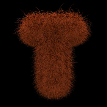 3D Rendering Creative Illustration Ginger Orangutan Furry Letter T