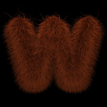 3D Rendering Creative Illustration Ginger Orangutan Furry Letter W