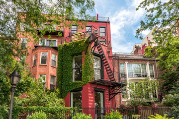 Wall Mural - Residential street in Brooklyn Heights Historic District with brownstone townhouses, NEw York, USA