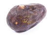 Old avocado with mold on white background, unhealthy food