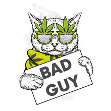 Funny Cat With A Sign, Glasses And A Scarf. Bad Guy, Bully. Vector Illustration For A Postcard Or A Poster, Print For Clothes. Hipster. Drugs, Marijuana.