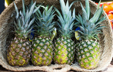 Apetitic Pineapples In Wicker Basket