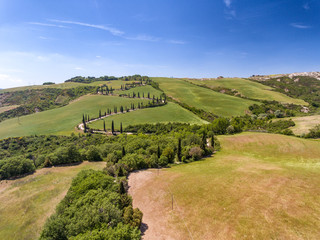 Wall Mural - Aerial view of beautifulTuscany hills and cypresses in summer season