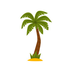 Sticker - Beautiful palm tree, tropical evergreen plant vector Illustration on a white background