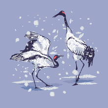 Dancing Japanese Cranes In The Snow