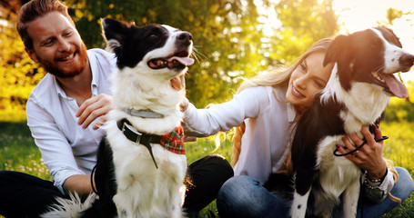 Wall Mural - Beautiful couple cuddling and walking dogs outdoors