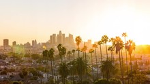 Downtown Los Angeles And Palm Trees At Sunset TimeSlice Timelapse