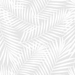 Summer tropical palm tree leaves seamless pattern. Vector grunge design for cards, web, backgrounds and natural product