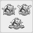 © malashkos - Baseball, cricket and hockey logos and labels. Sport club emblems with wild cat.