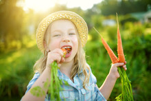 Cute Little Girl Wearing Straw Hat Holding A Bunch Of Fresh Organic Carrots
