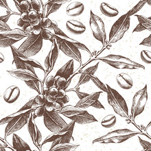 Seamles Pattern With Coffee Plant And Beans