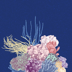 Canvas Print - Vector background with colorful coral reef