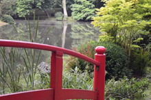 Beautiful Japanese-style Garden With Red Bridge