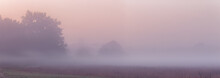 Wide Panorama Of Beautiful Foggy Meadow. Dense Fog Over Dry Grass Meadow And Trees Silhouettes At Early Autumn Morning.