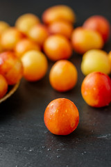 Wild and ripe wild plum fruits.