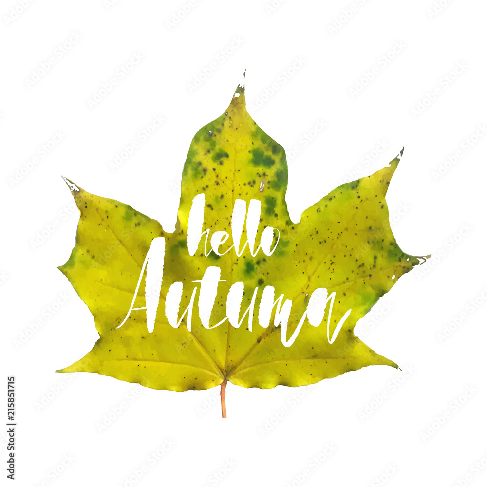 Hello Autumn greeting card with Realistic Maple leaf isolated on white ...