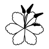 Fototapeta Big Ben - beautiful flower garden icon vector illustration design