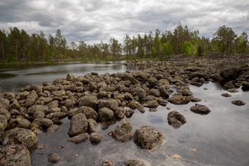 Wall Mural - Shore with rocks