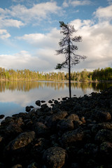 Wall Mural - Shore with rocks