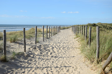 Canvas Print - weg am meer