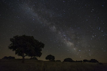 night sky with milky way in alentejo, portugal