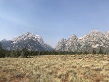 Sage Brush, Evergreens And Grand Teton Mountains