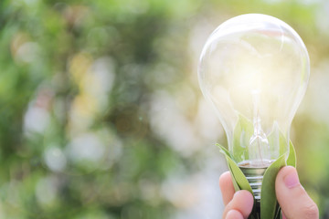 Child's hand hold light bulb,Energy for a sustainable future.