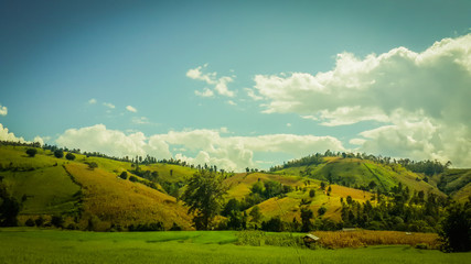  Panoramic View Of Agricultural Field Against Sky in Chiang Mai Thailand.
