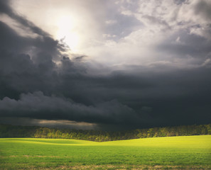 Beatiful morning green field with blue heaven