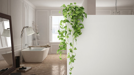 Wall Mural - Green interior design concept background with copy space, foreground white wall with potted plant, classic bright bathroom