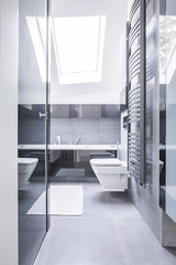 Black and white bathroom interior with reflective tiles, a ceramic toilet and bright light coming through a roof window