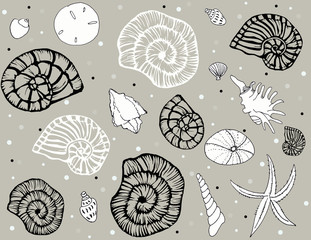 Wall Mural - Sea shells repeat pattern on sand bg