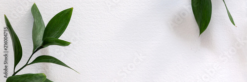 Cuadros en Lienzo Twigs with green leaves on white handmade paper