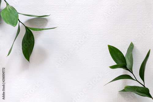 Cuadros en Lienzo Handmade paper copy space with twigs with leaves