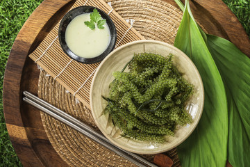 Umi-budou Seaweed or Green Caviar Healthy sea food or sea grapes seaweed on plate