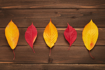 Wall Mural - Autumn frame for your idea and text. Autumn fallen dry leaves of yellow, red, orange, lined in the middle of the frame on an old wooden board of brown color. The pattern of autumn. View from above