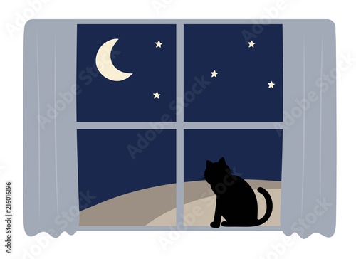 midnight blue cat