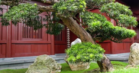 Wall Mural - Beautiful Chinese garden