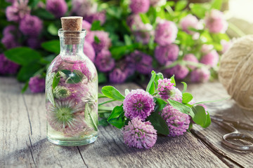 Wall Mural - clover tincture or infusion and clover flowers bunch on wooden board.