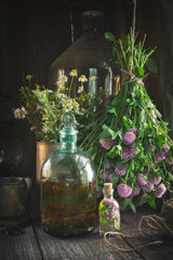 Wall Mural - Clover tincture or infusion, essential oil bottle and medicinal herbs bunches inside the retro village house.