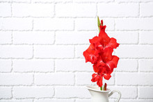Jug With Beautiful Gladiolus Flowers Against Brick Wall