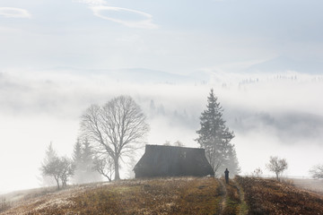 Wall Mural - mountain valley during sunrise. alone house on autumn foggy meadow. carpathian mountains, landscape 